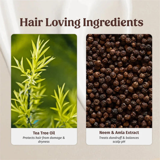 Vilvah Anti-Dandruff Haircare Kit