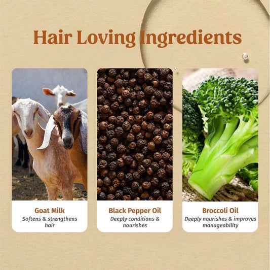 Vilvah Frizz Free Hair Kit