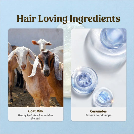 Vilvah Goat Milk Hair Kit