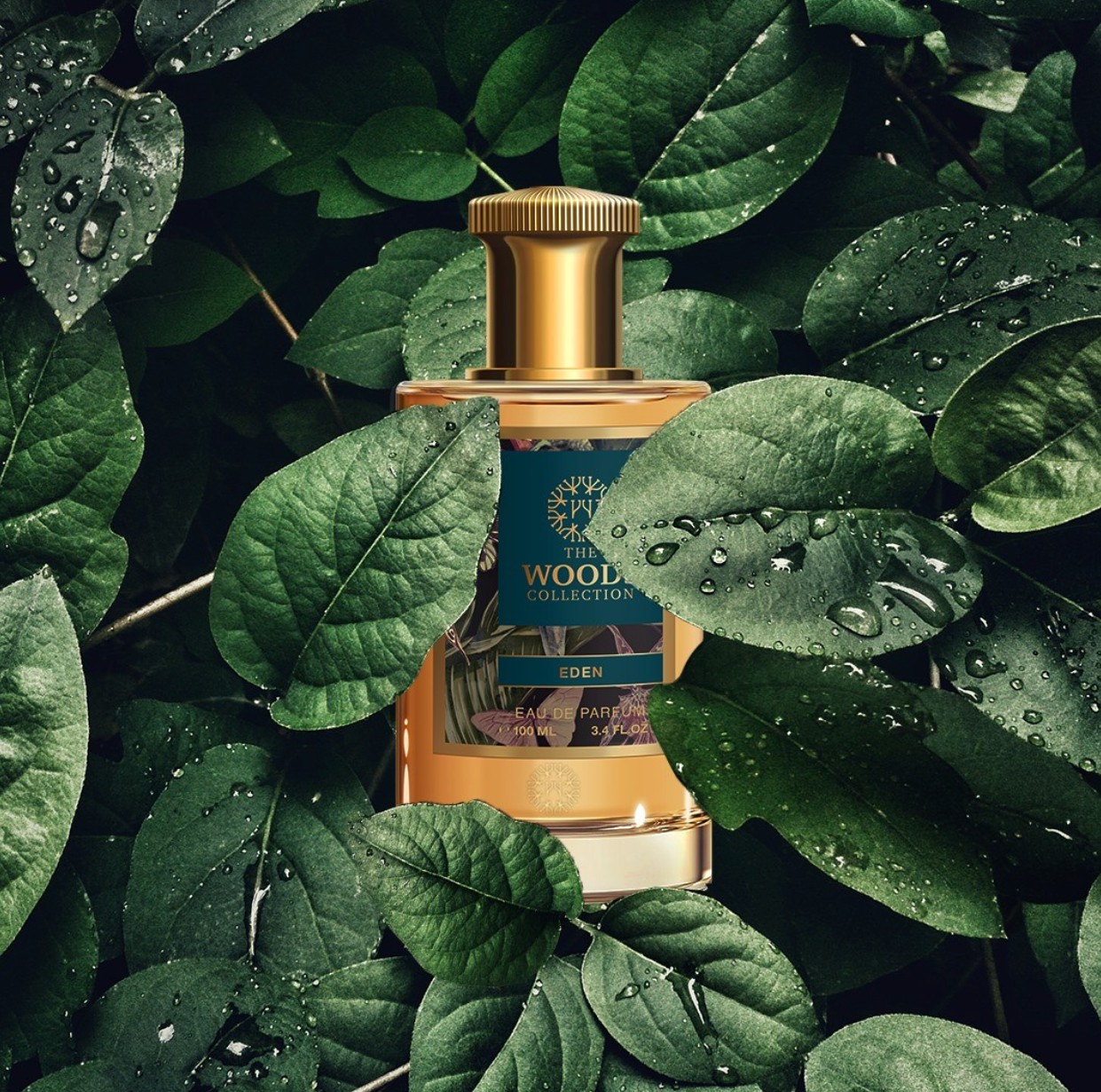 The Woods Collection Eden Eau De Parfum 100ML