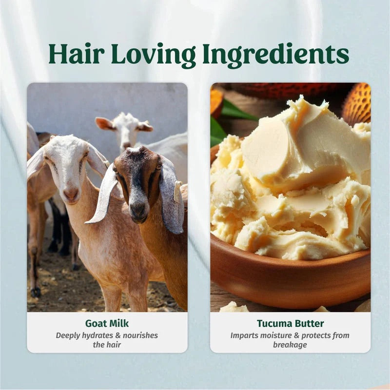 Vilvah Bestseller Hair Kit