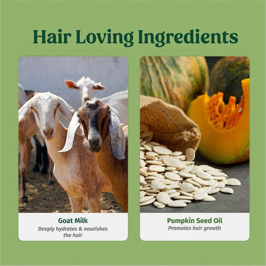 Vilvah Hair Strengthening Kit
