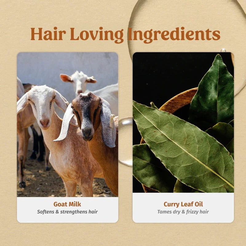 Vilvah Shampoo & Hair Serum Kit
