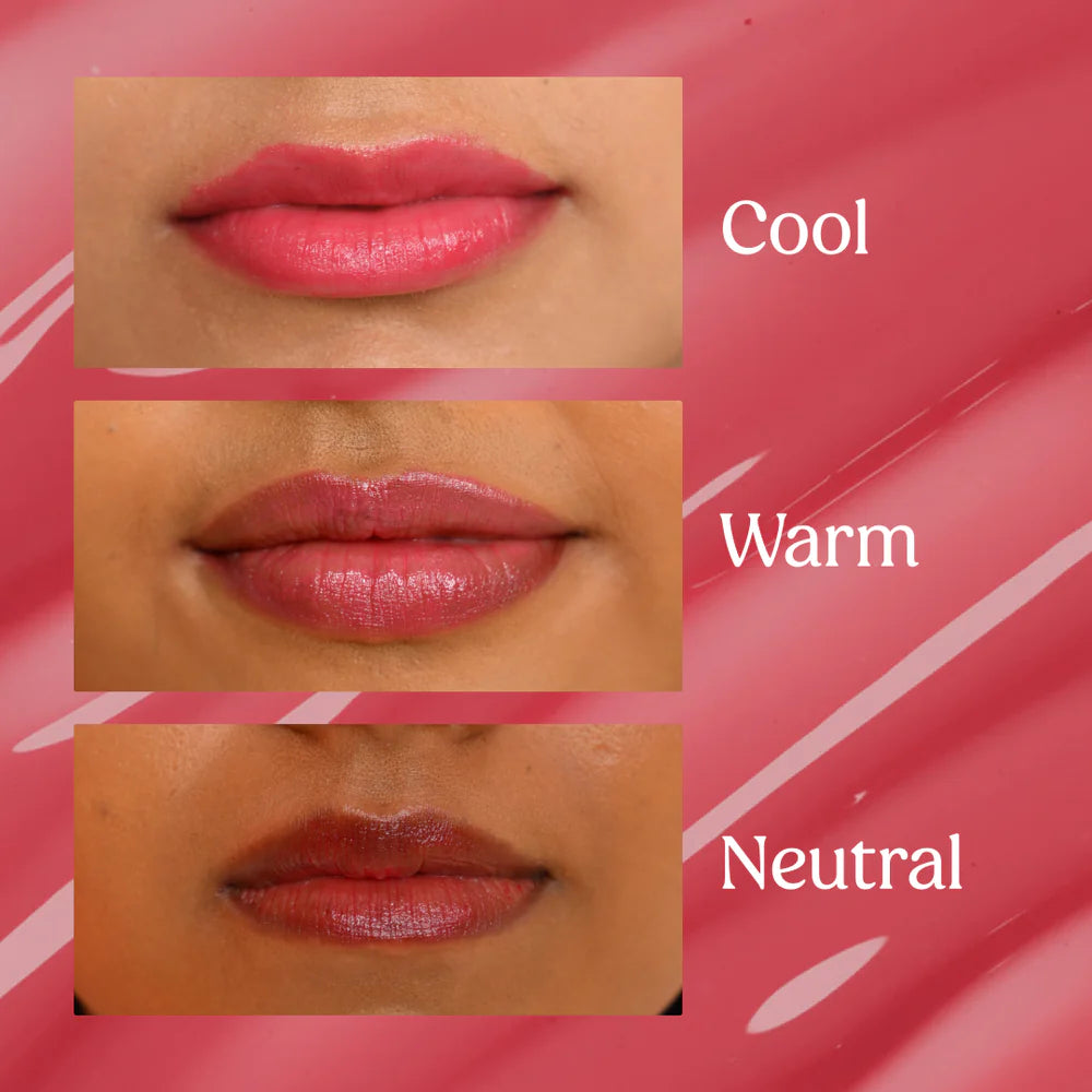 Vilvah Tinted Lip Balm Kit