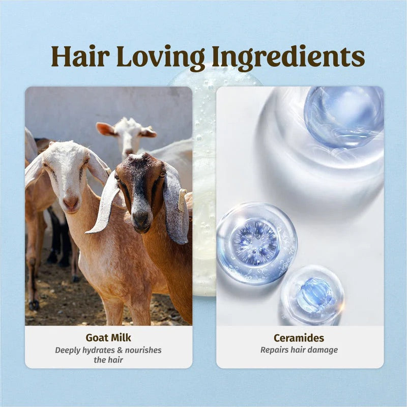 Vilvah Goat Milk Hair Kit
