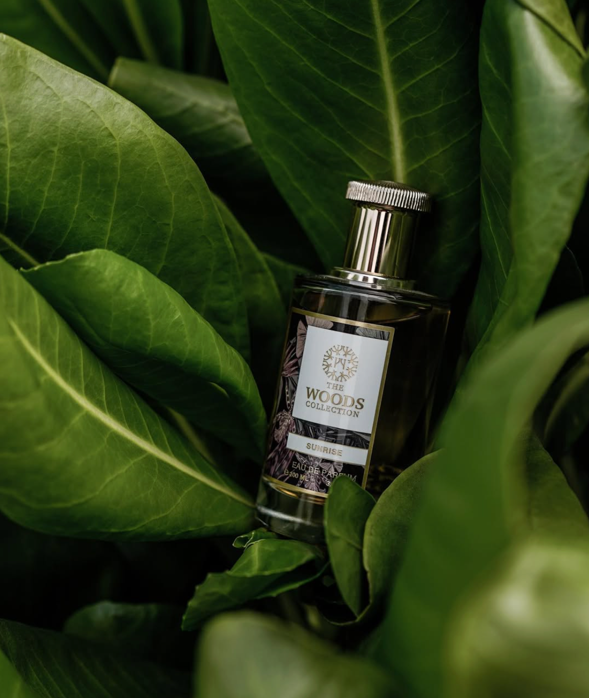 The Woods Collection Sunrise Eau De Parfum 100ML