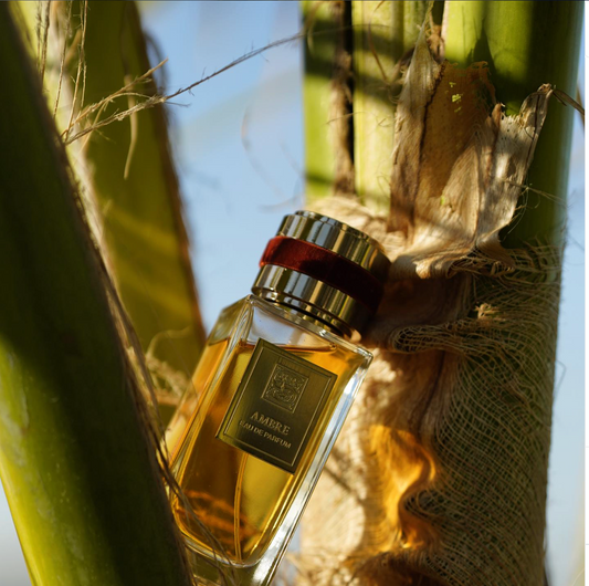 Signature Ambre Eau De Parfum 100ml+15ml+Funnel (UNISEX)